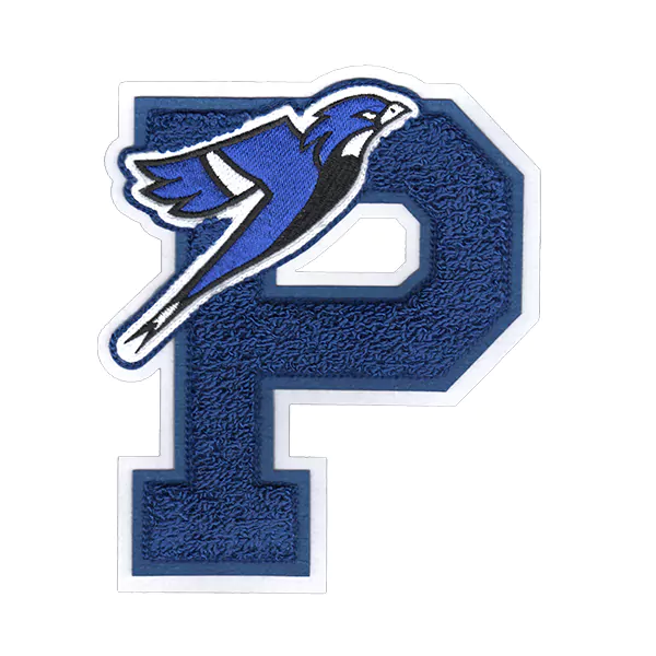 Chenille specialty varsity letter with mascot
