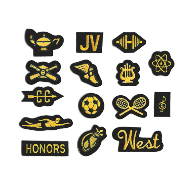 swiss embroidered inserts